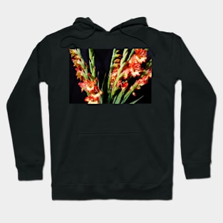 Gladiolis #2 Hoodie